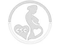 Chrisworld Surrogacy Consultancy Ventures LLC